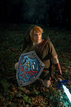 Link cosplay from Twilight Princess