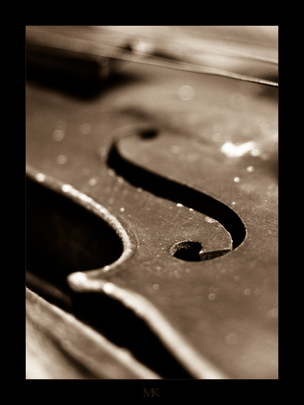 Violin II