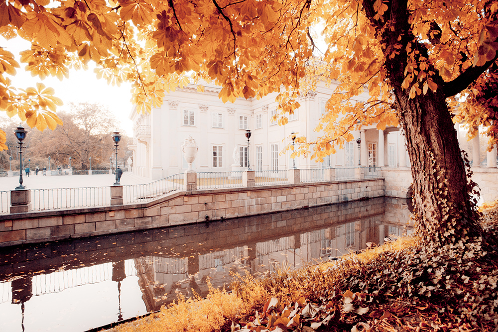 Autumn in Lazienki Krolewskie 3