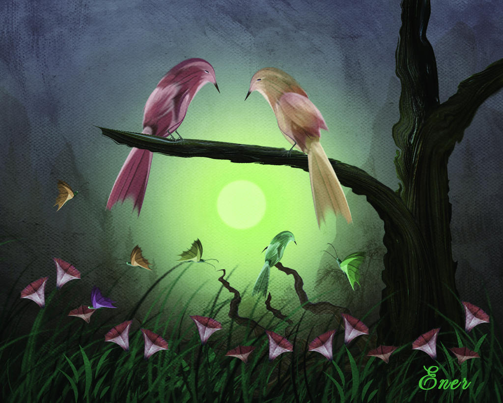 Pajaritos