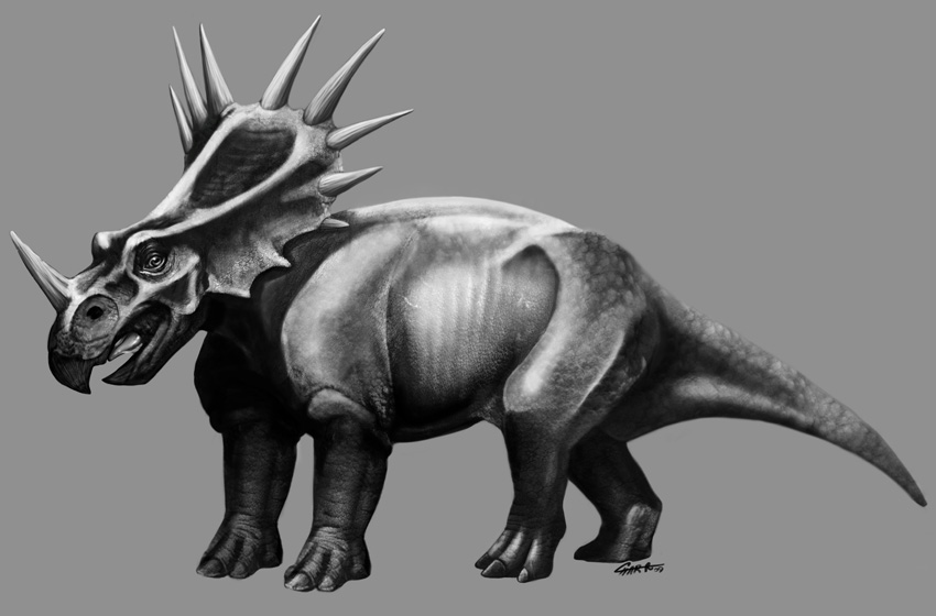 Styracosaurus