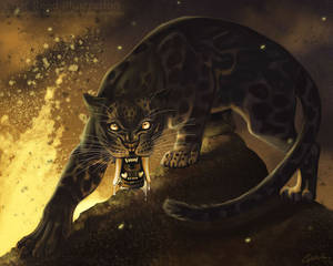 Ash Leopard