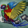 Rainbow Boa Macaw