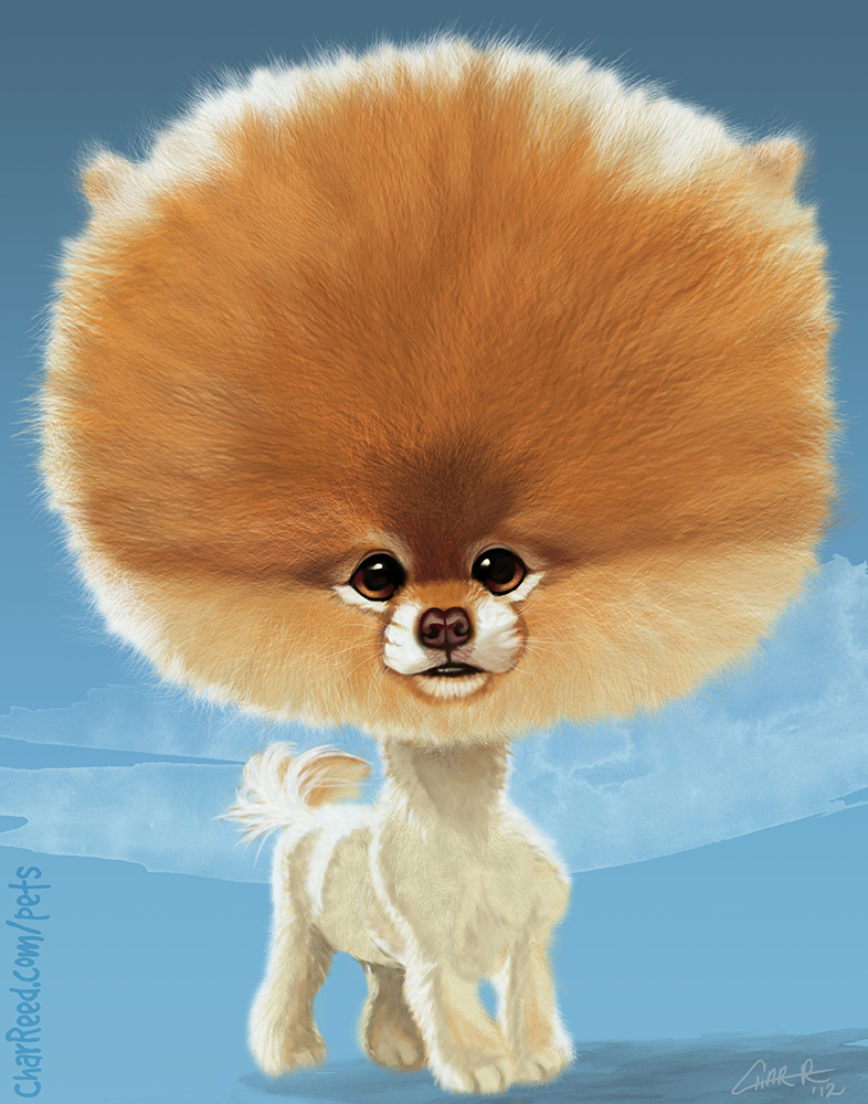 Boo The World S Cutest Dog By Charreed On Deviantart Boo The World S Cutest Dog By Charreed On Deviantart