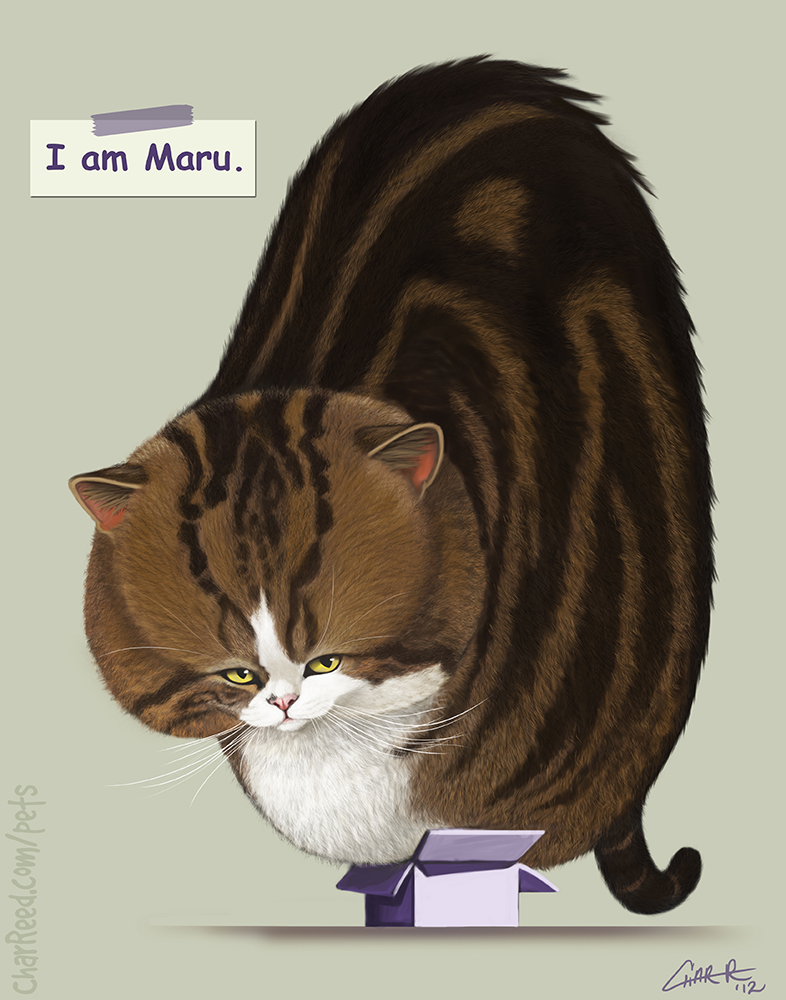 I am Maru.