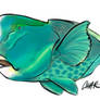 ParrotFish Caricature