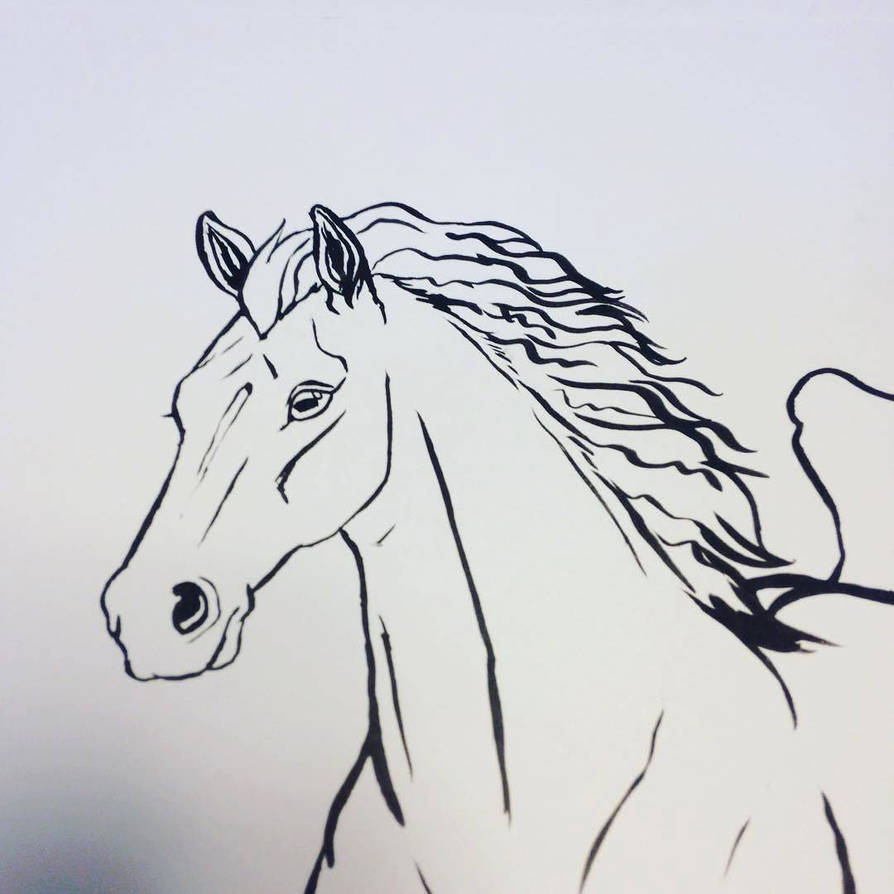 Horse Inks for Colouring Book! by CharReed