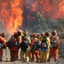 30 percent of California's forest firefighters are