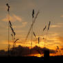 Waterloo Sunset