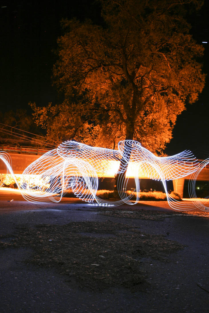 flying satin snakes by chimpster7 on DeviantArt