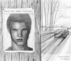 Forks: HAVE YOU SEEN THIS BOY?