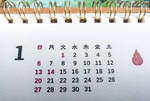 calendar by nackmu