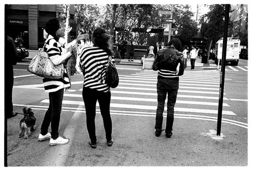 Zebra Crossing.