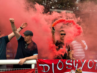 Conifa Final