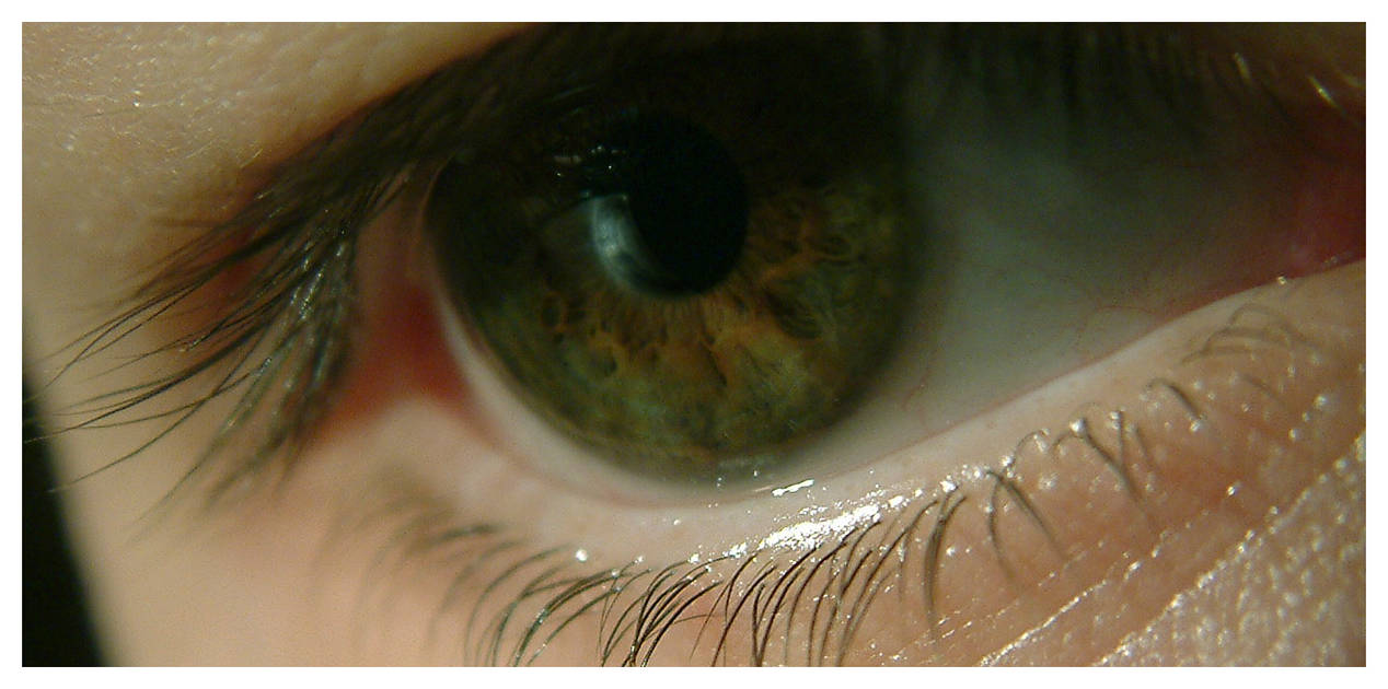 The Photographers Eye by cyberyt on DeviantArt