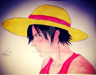 Luffy waterpencil