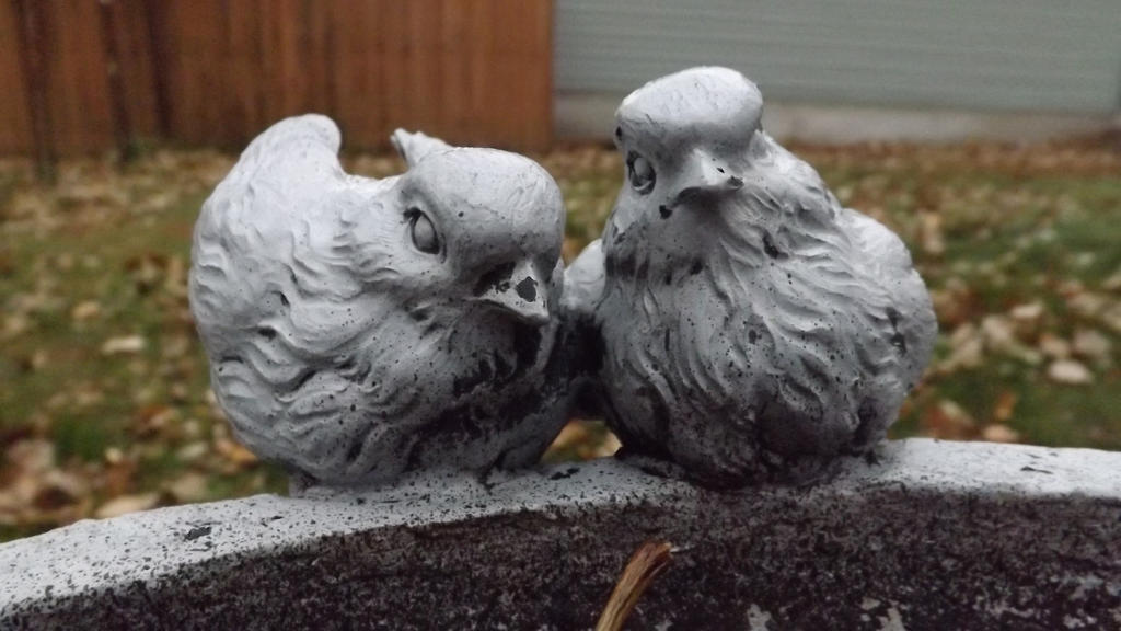 Birdbath Birds