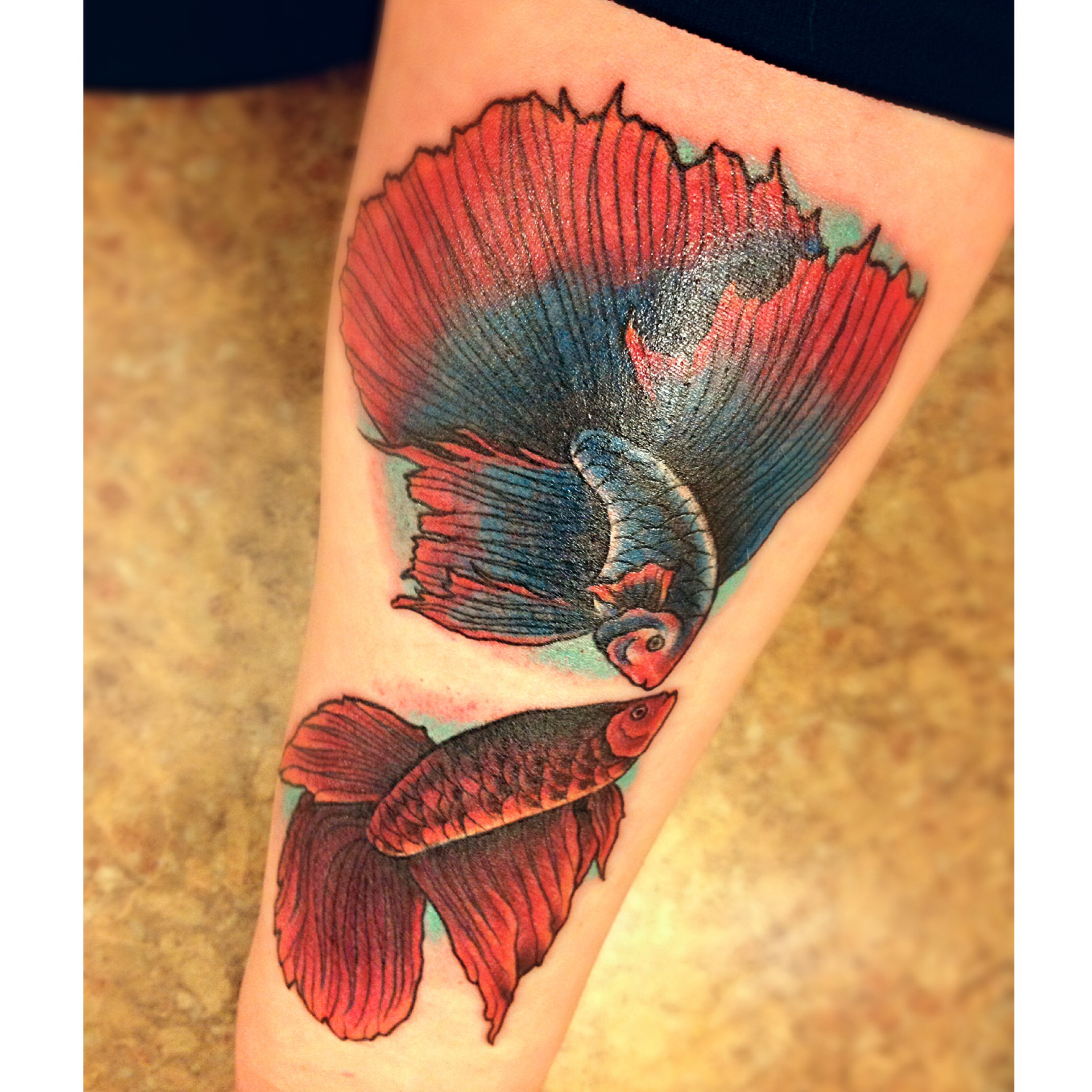 Watercolor Betta Fish Tattoo