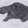 Tyrannosaurus head1