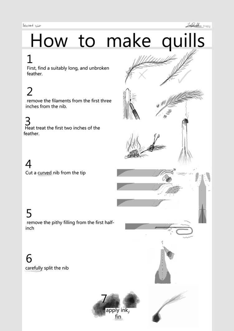 Simple quill tutorial by Lite-Black on DeviantArt