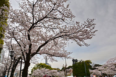 Tokyo Chiyoda