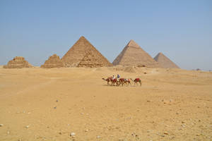 Giza Pyramids