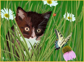 Kitten And Butterfly