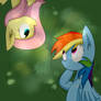 FlutterDash