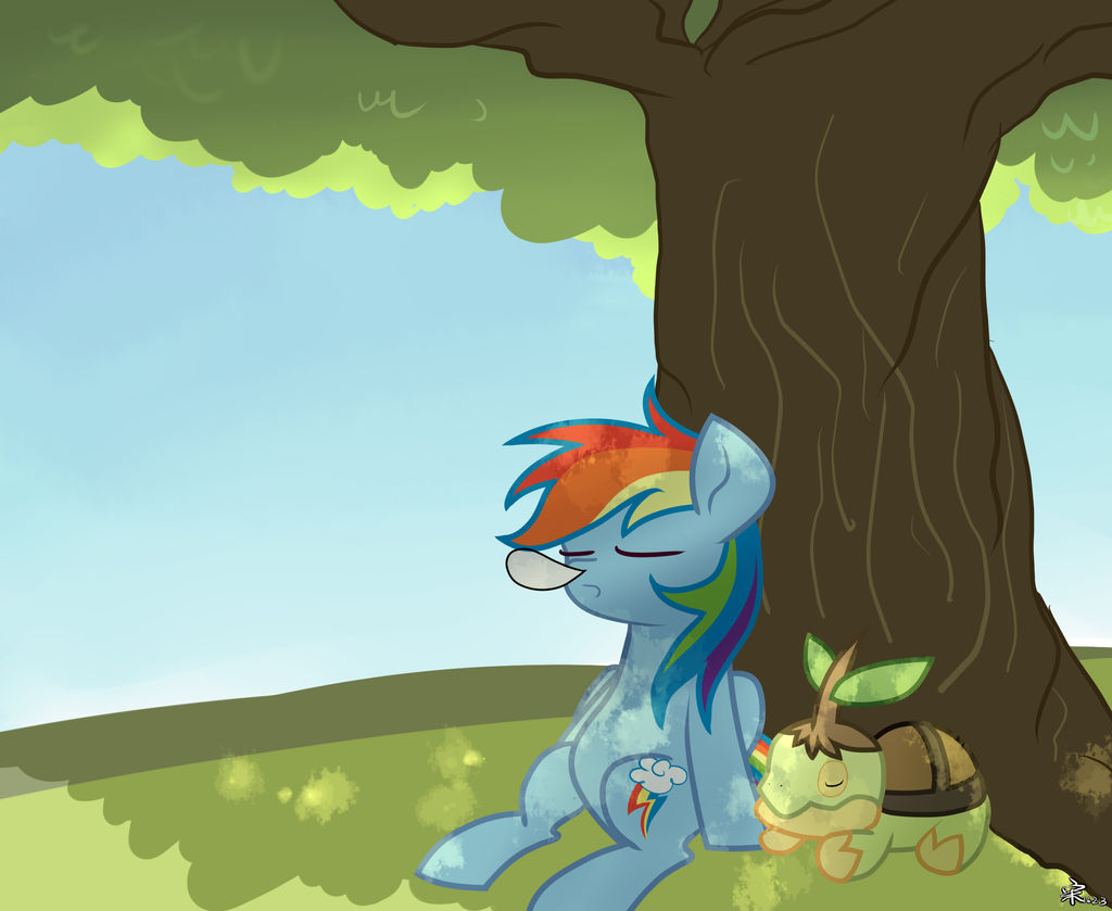 Rainbow Dash with Turwig