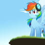 Rainbow Dash