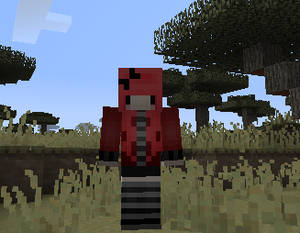 New custom minecraft skinnn