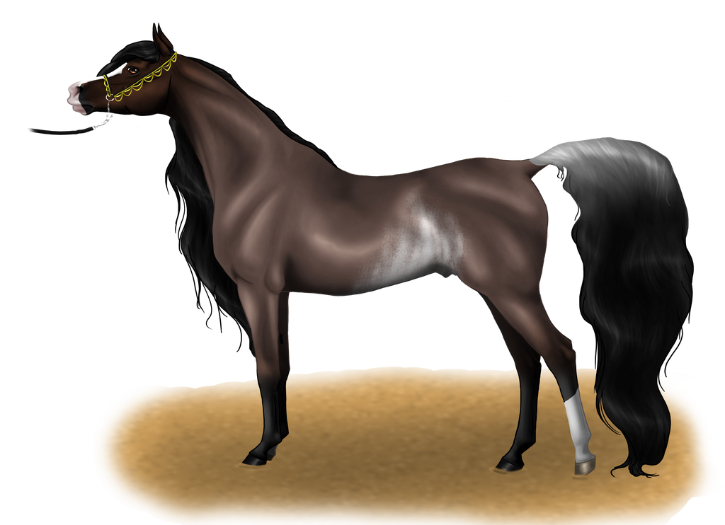 The Warlock's Reign by Dlnarielle on DeviantArt