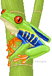 Red-Eyed Tree Frog