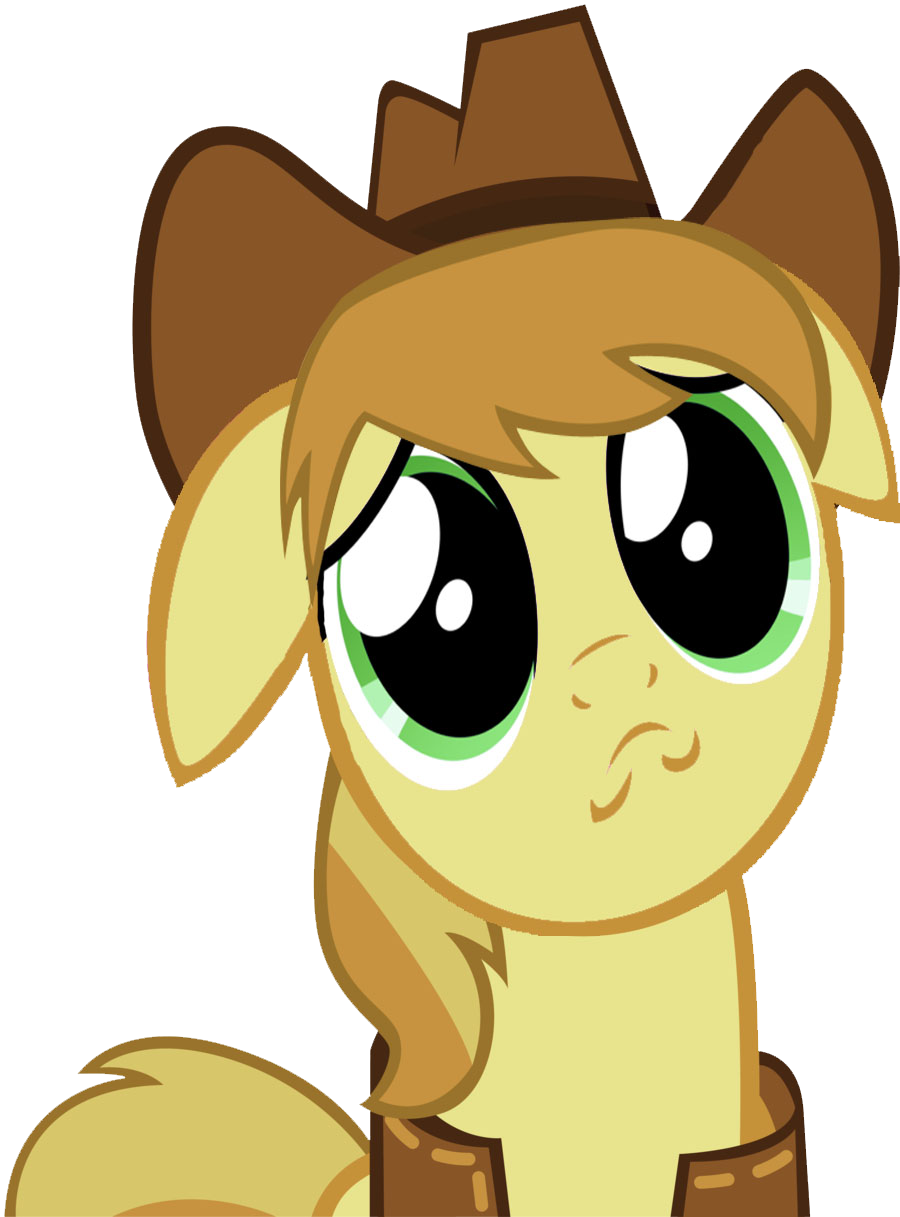 BRAEBURN PUPPY FACE