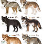 Coyote Adopts Auction - CLOSED