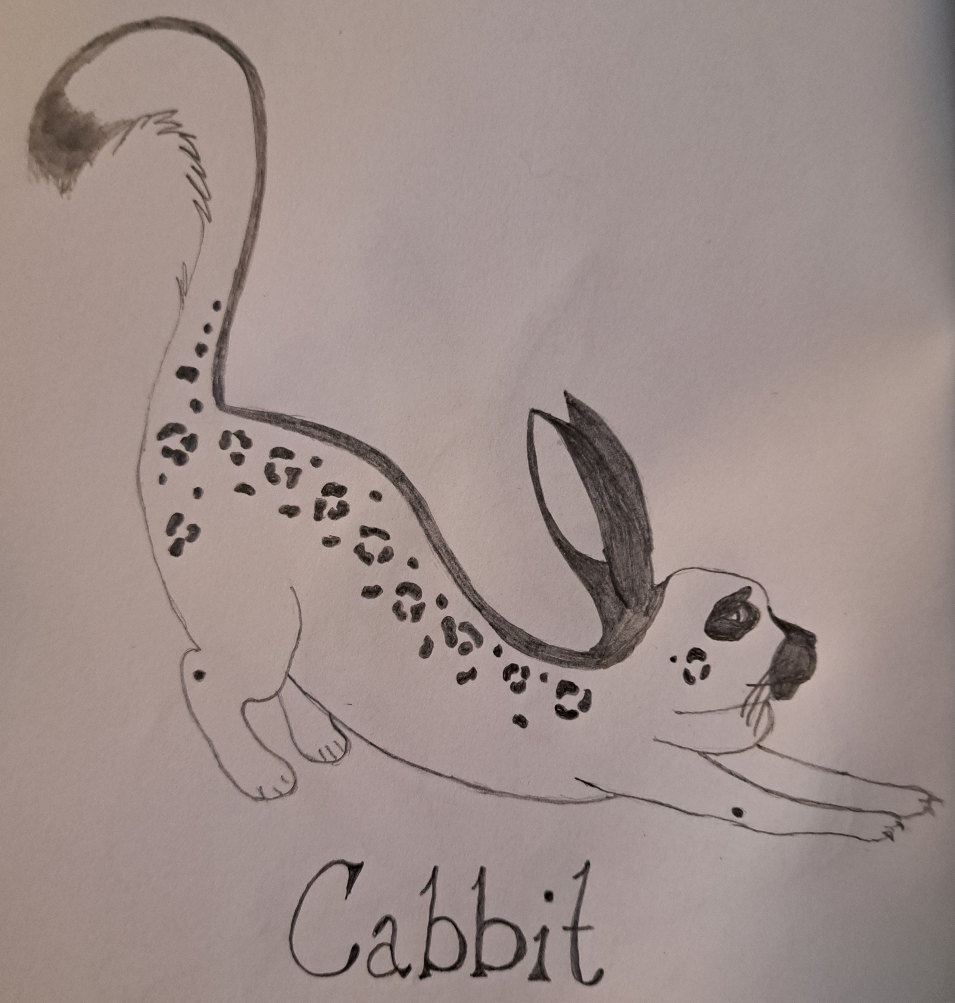 Cabbit 2023 by aquamaeanna on DeviantArt