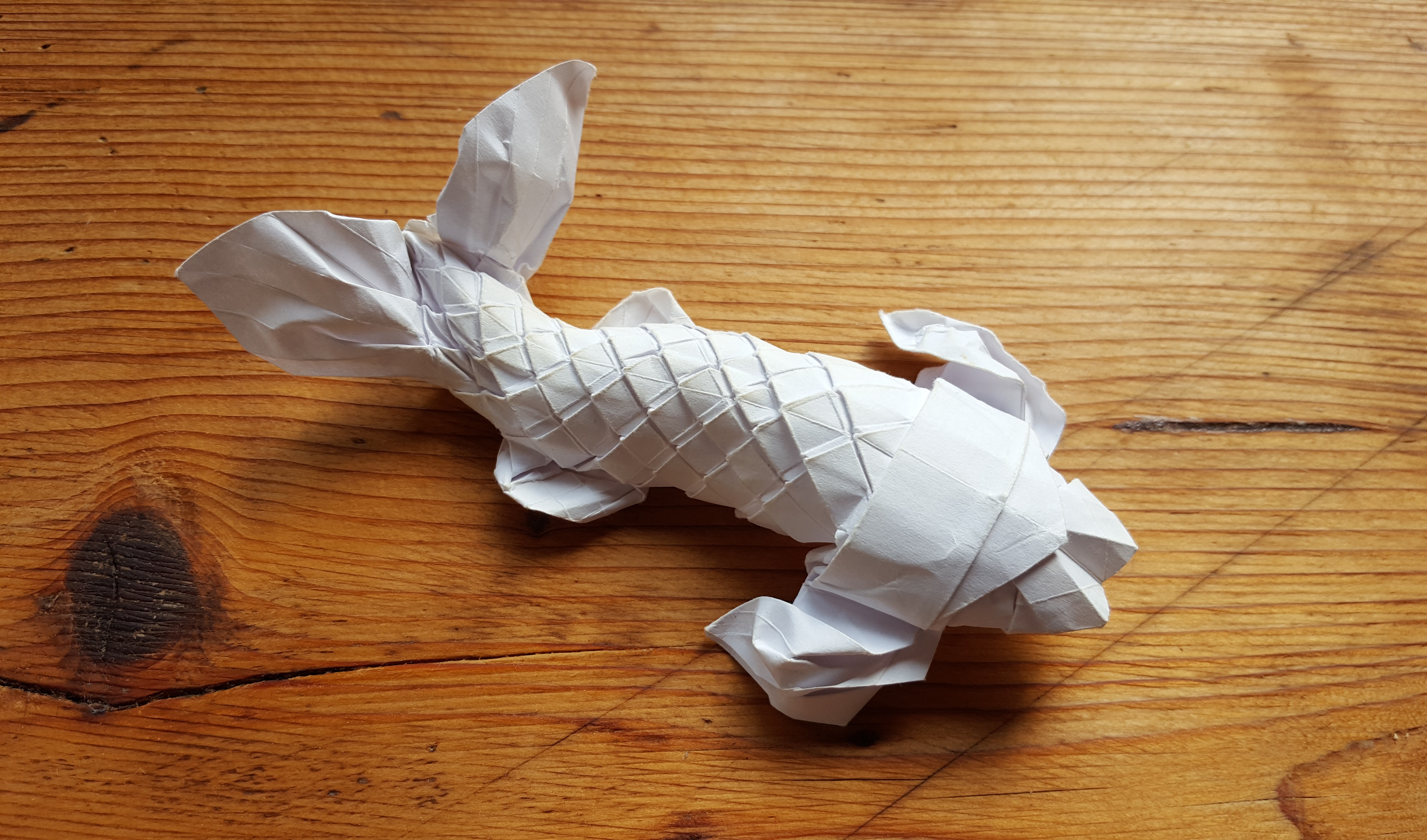 Origami: Catfish