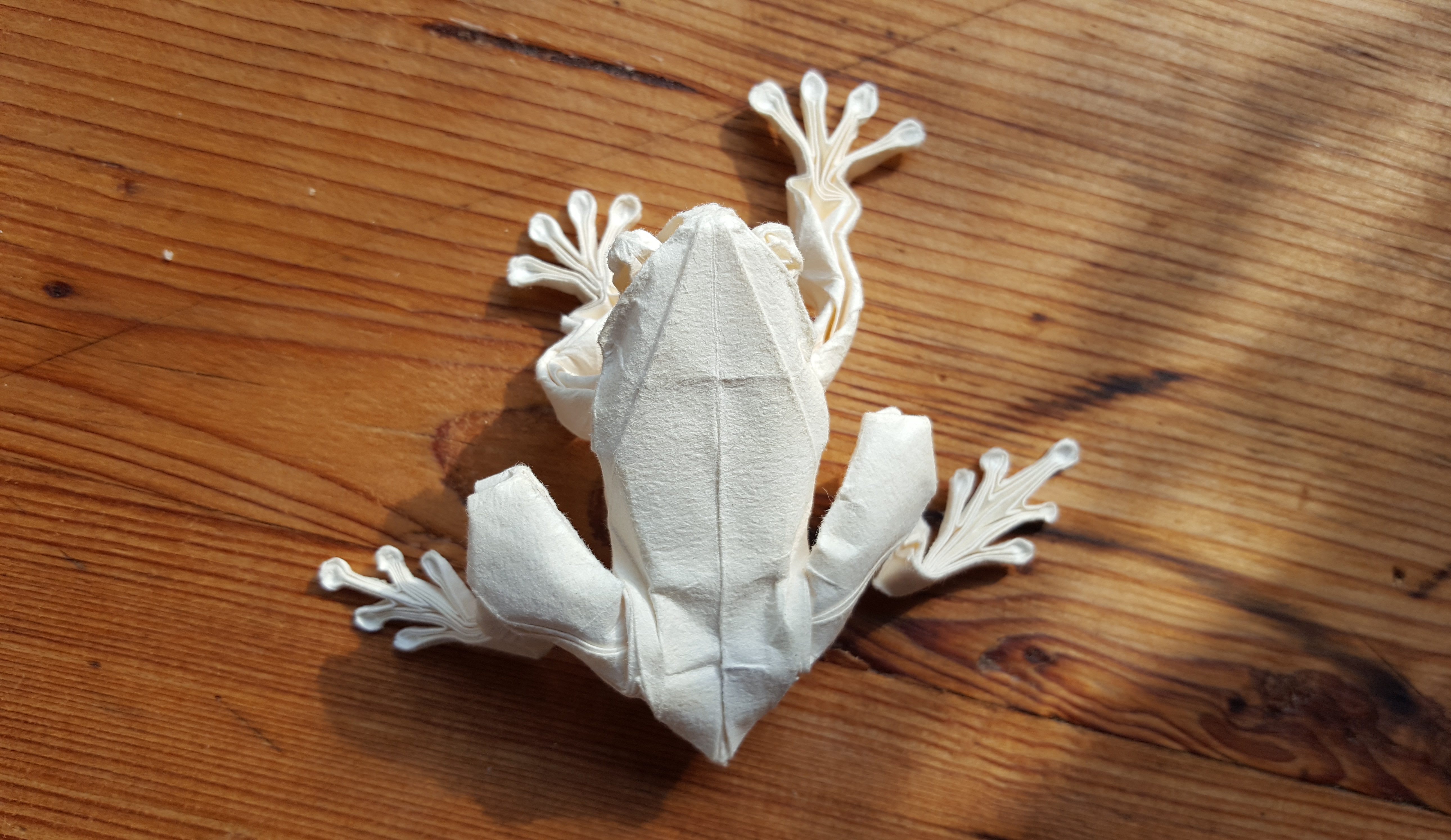 Origami: Tree Frog