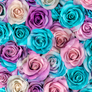 Colorful Roses Pattern Wallpaper