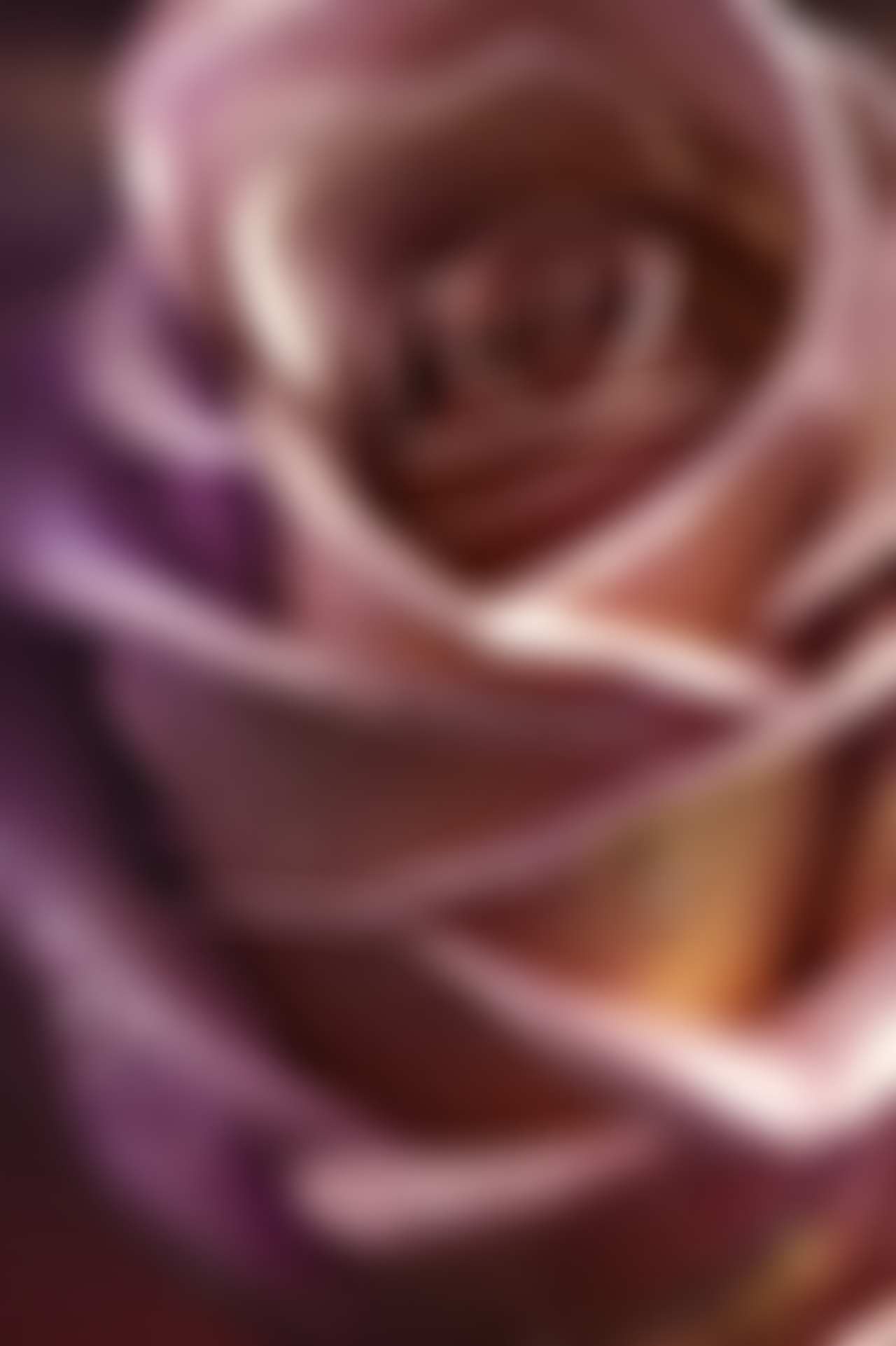 Pink Metallic Rose by WakeMeUpInMadrid on DeviantArt