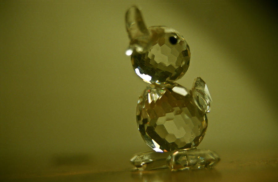 Crystal Resolution Duck Crystal duck by druggeddevil on DeviantArt