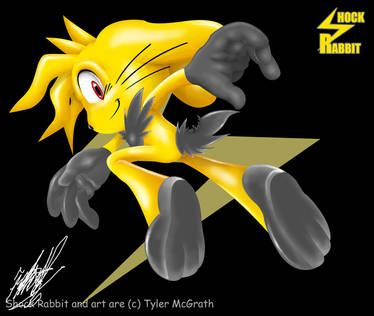 ShockRabbit - Professional, Digital Artist | DeviantArt