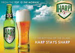 Harp Lager Advertising Poster