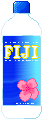 Fiji Water Bottle