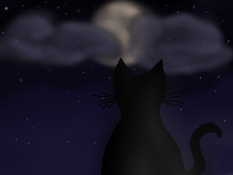 Nacht und Katze