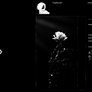 Steam Artwork - Dead Rose