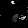 Steam Artwork - Skeleton Cat