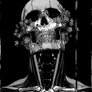 Steam Artwork - Bloom Death
