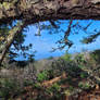 Montara Mountain behind the water department