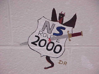 NS Logo
